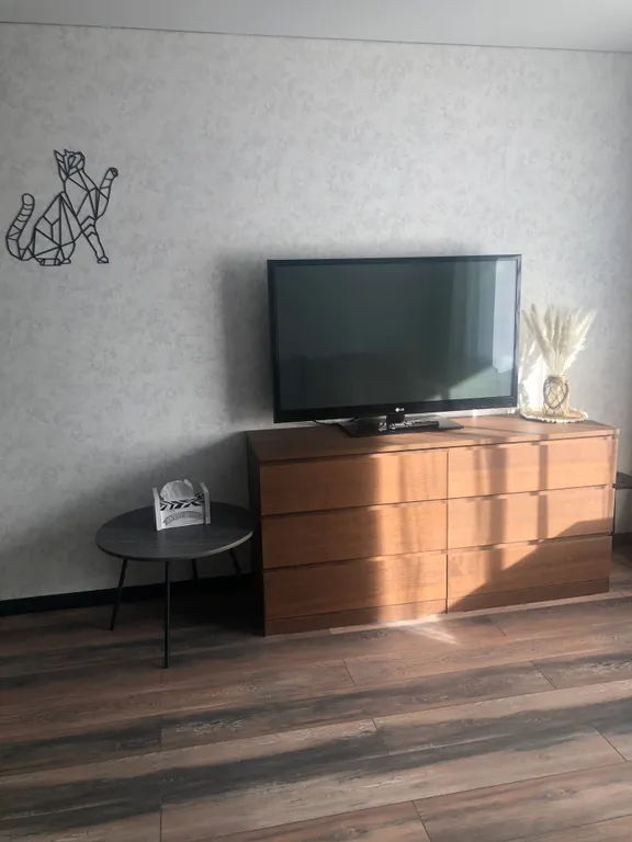 Отличная квартира черный кот