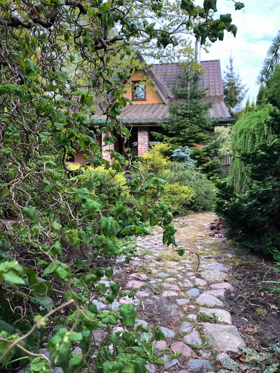 Коттедж Уютный дом у моря — Зеленоградск