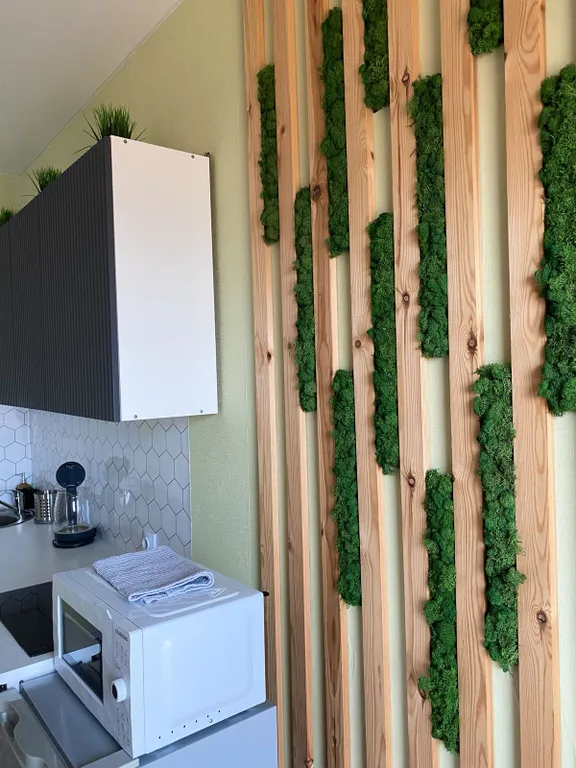 Студия у Онежского озера