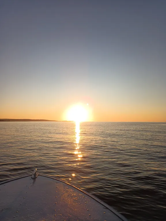 Домик У Ёлки