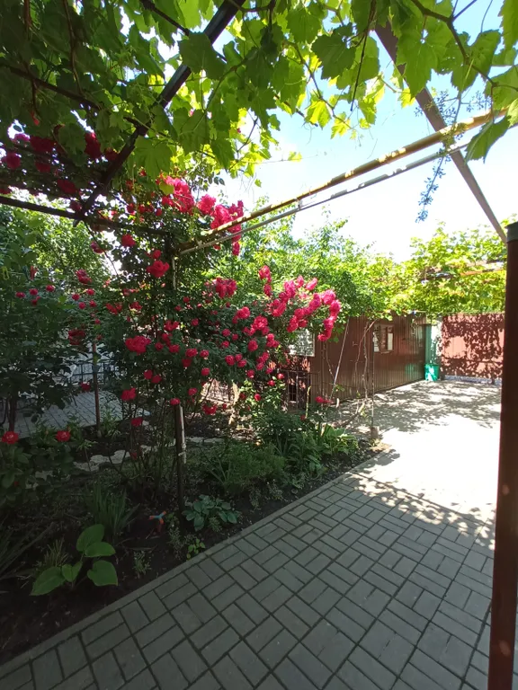 Дом с баней и бассейном