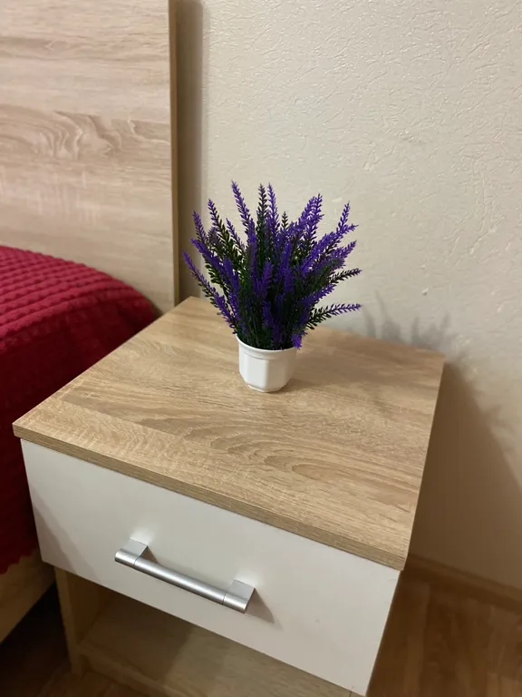 Квартира у Ледового дворца и глк Хвойный Урман