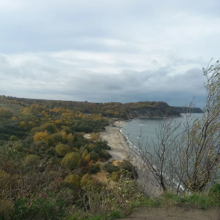 Квартира Квартира Морской Retreat — Светлогорск