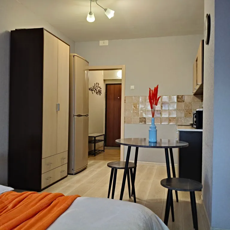 Квартира Квартира Уютная студия с прекрасным видом на парк Прищепка — Красноярск