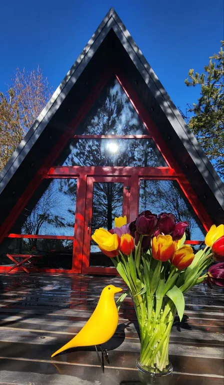 Уютный A-frame в 25 км от Минска с горячей купелью и видом на лес