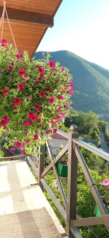 Коттедж Загородный дом Восточный склон — Пластунка