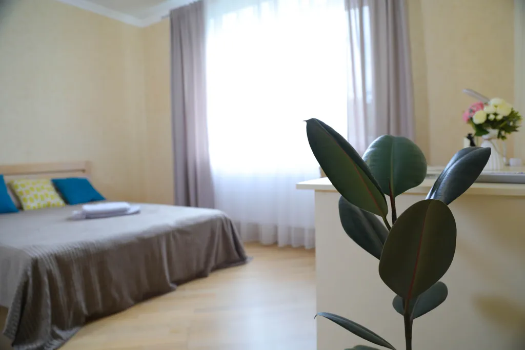 Квартира Просторная, светлая и уютная квартира, на выезде к морю — Калининград