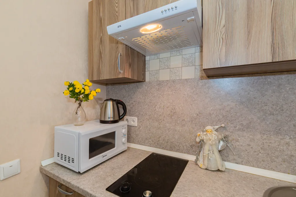 Уютная квартира возле РИШТа