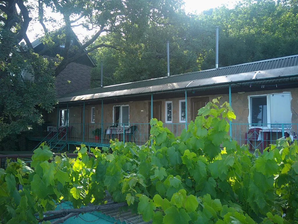 Коттедж с видом на море под большим дубом