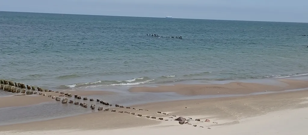 Уютная квартина на Балтийском побережье