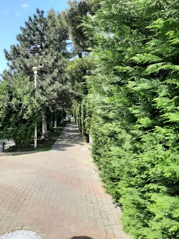 Квартира 2-комнатная Квартира — Геленджик