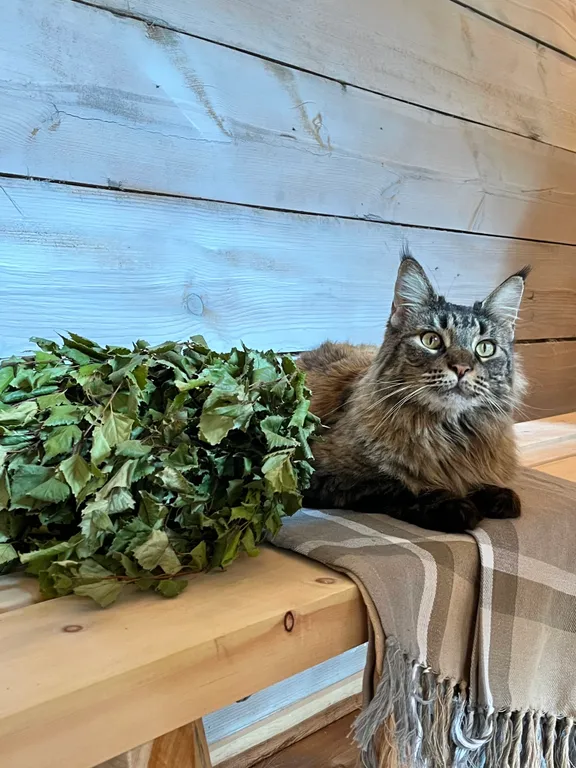 Уютный домик с баней 100'