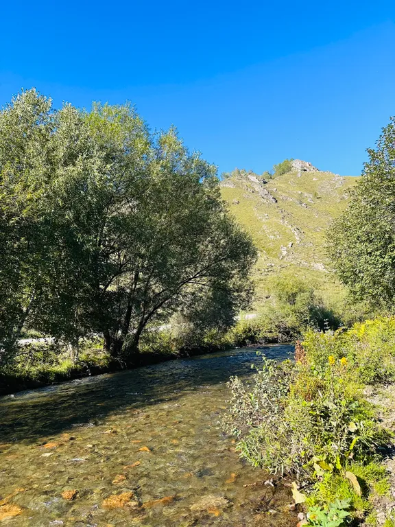 Усадьба Сова на берегу реки в горах Алтая