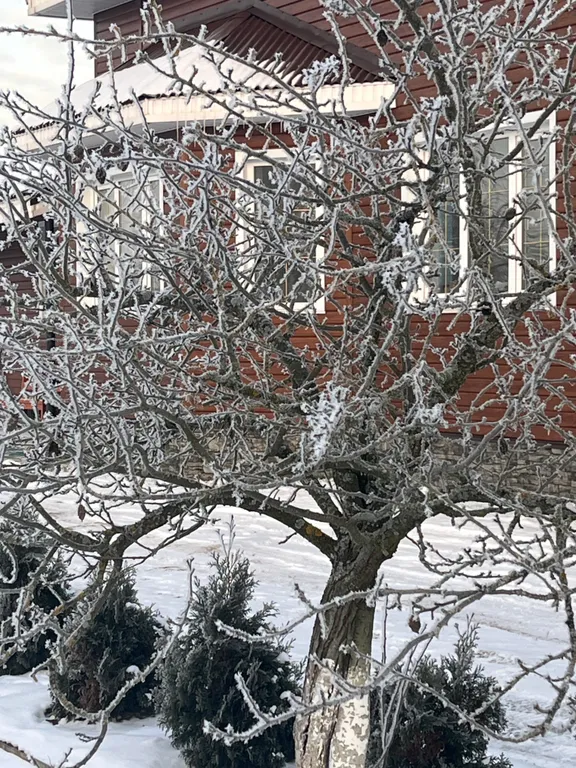 Гостевой дом Перезагрузка