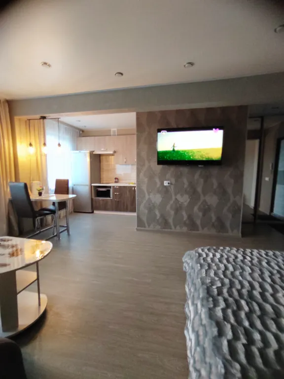 Уютная студия Люкс в центре города