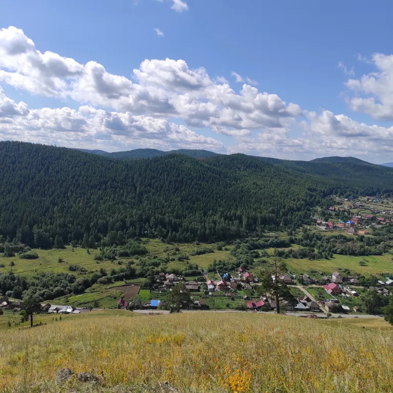 Видовой дом в лесу