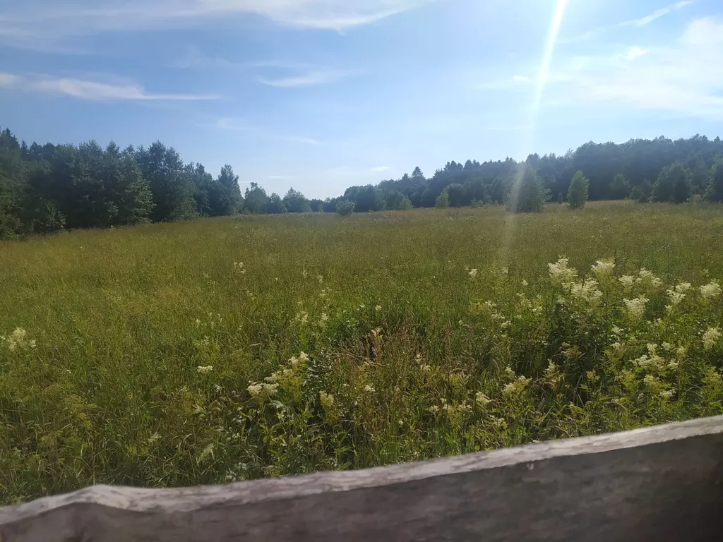 Уютный домик посуточно в тихом месте на Рыбинке