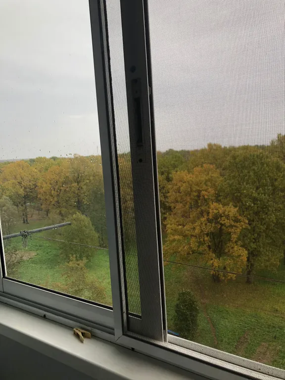 Квартира с видом на парк