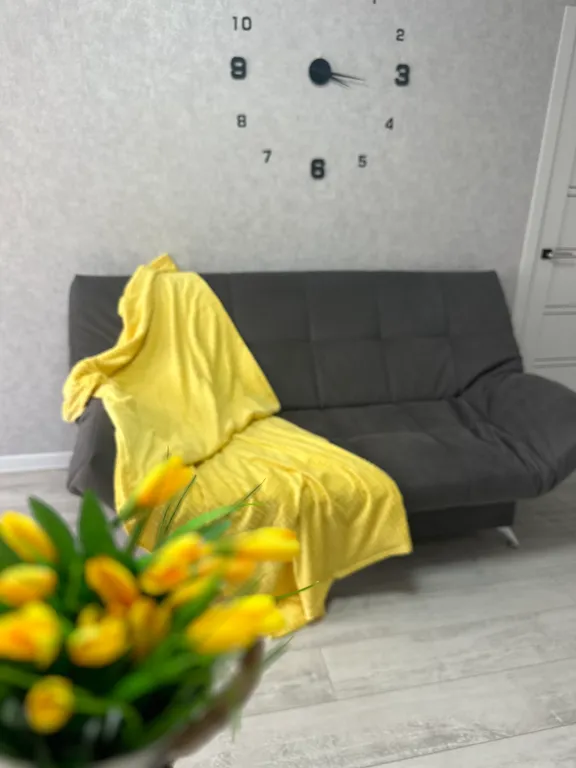 2-х комнатная квартира рядом с парком — аренда посуточно в Липецк