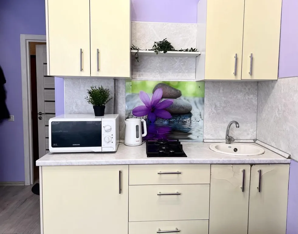 Уютная студия в центре