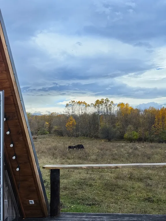 Отдых в горах А-Ферма Хаджох