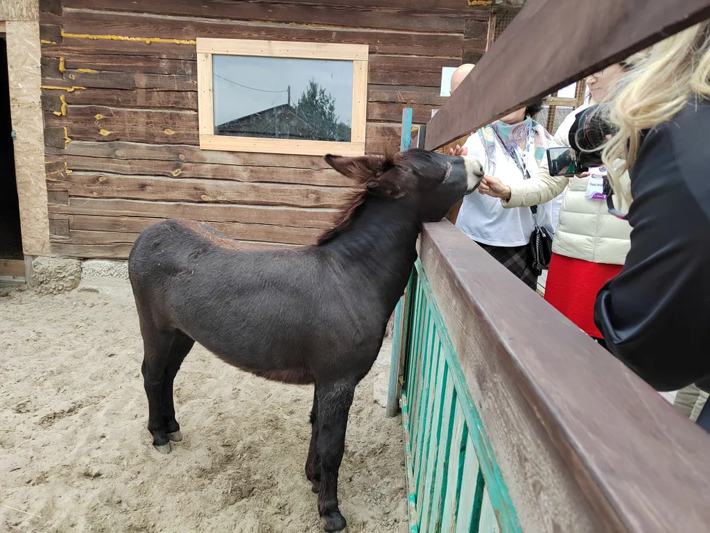 Дом Тропик у озера Увильды