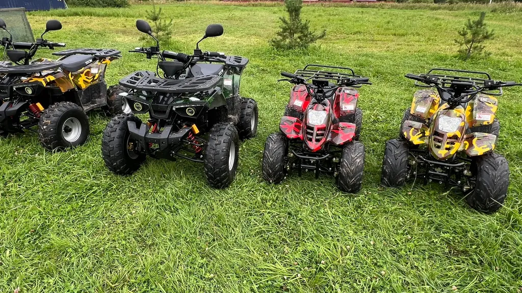 Дом на Волхове