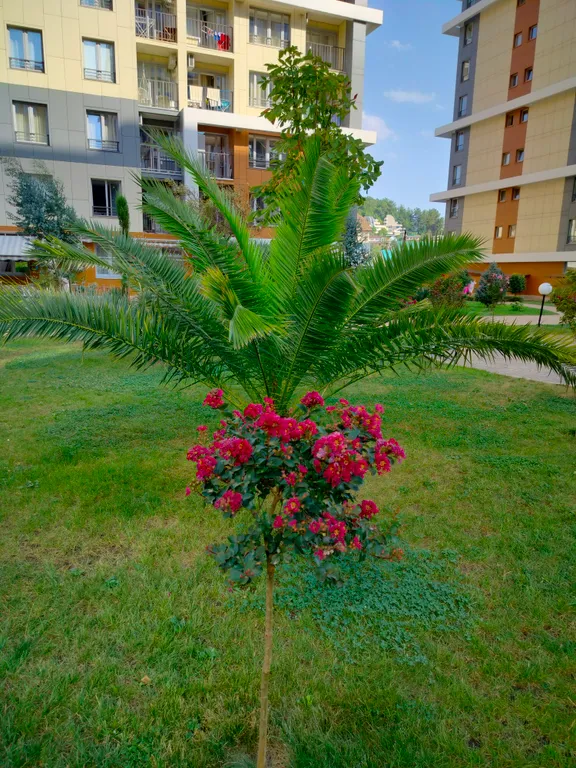 Студия с террасой Каравелла Португалии на берегу моря