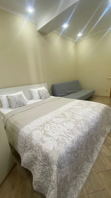 Евро-двухкомнатный апартамент Лаура 8