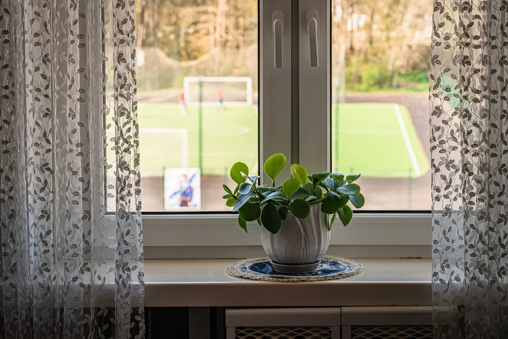 Уютна квартира в спальном районе Янтарного, возле моря — аренда посуточно в Янтарный