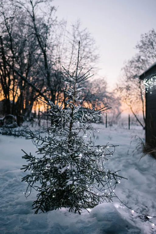 Дом с видом на закат, поле и лес