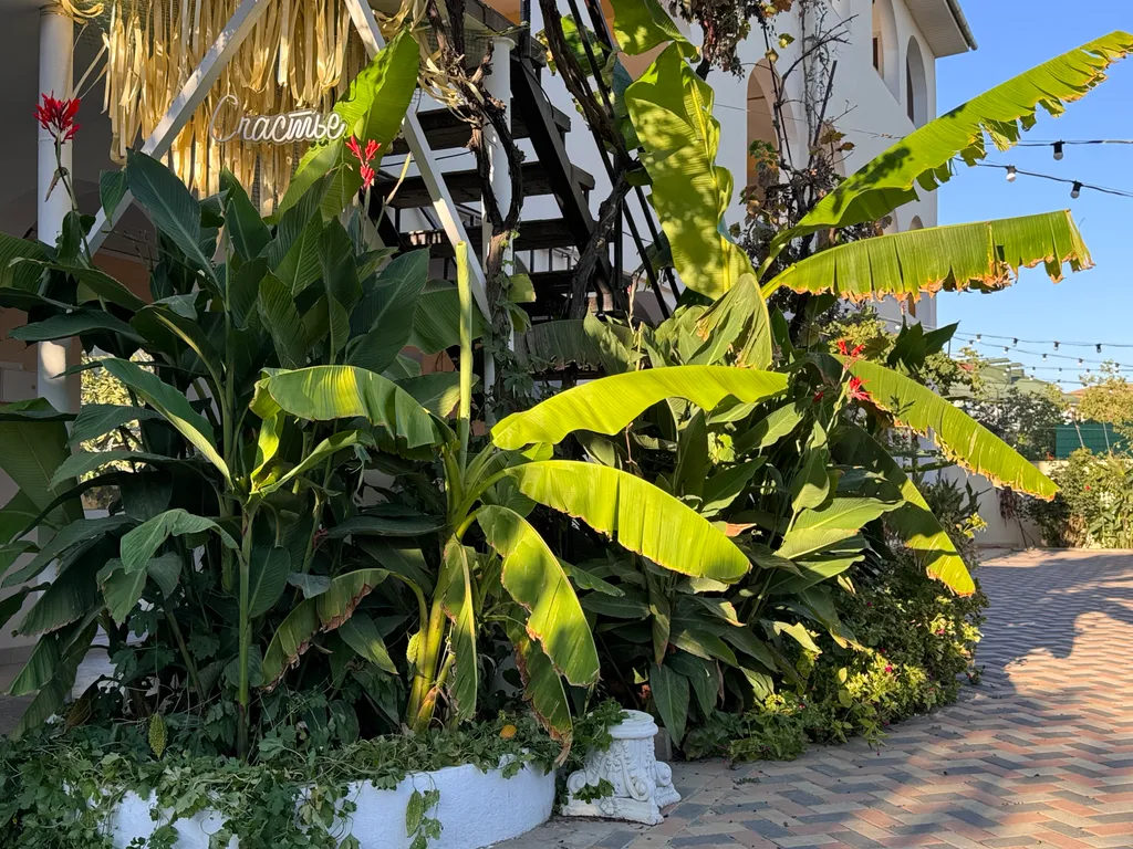 Уютная студия у Хореки в районе Аквапарка