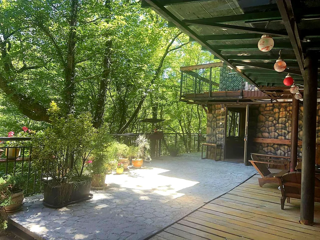 Вилла парящая над лесом