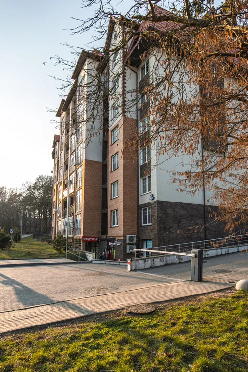 Студия с озером в вашем окне