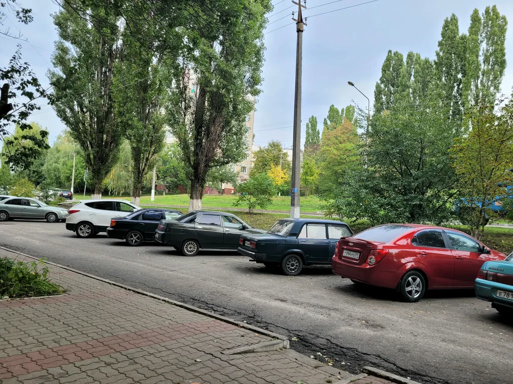 Отчётные документы