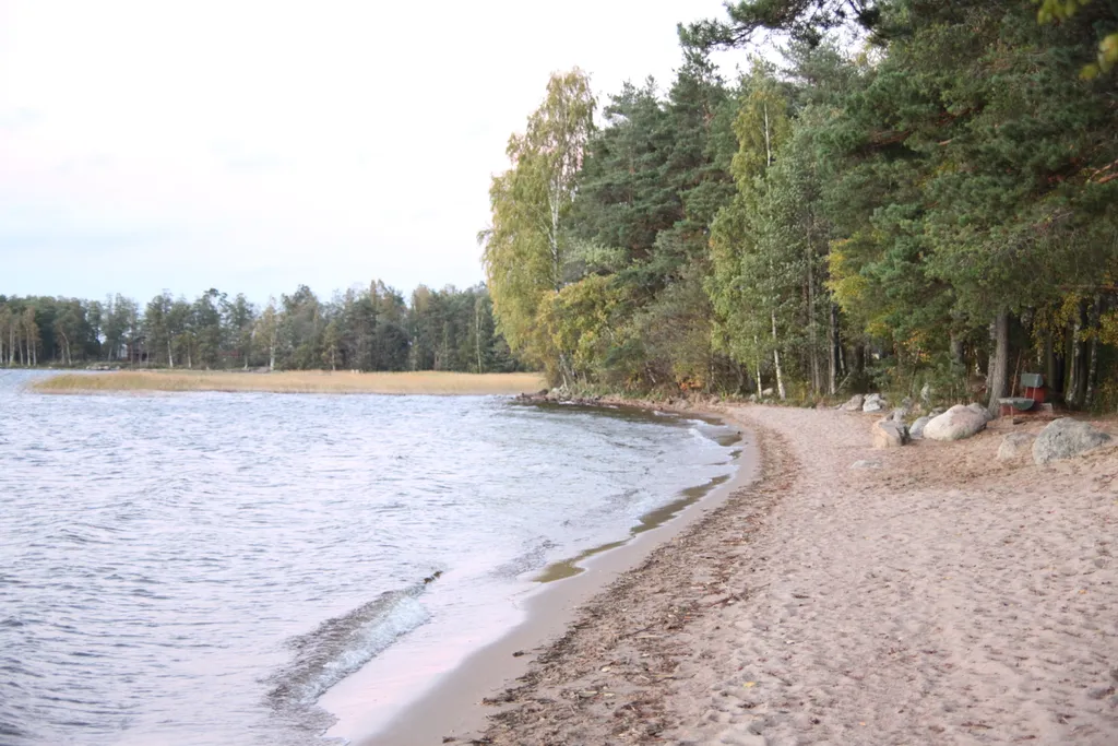 Коттедж Гостевые дома в усадьбе у Михалыча — Плодовое