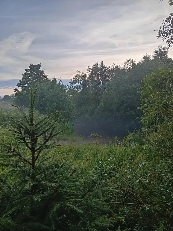 2-к. дом с сауной и балконом на реку