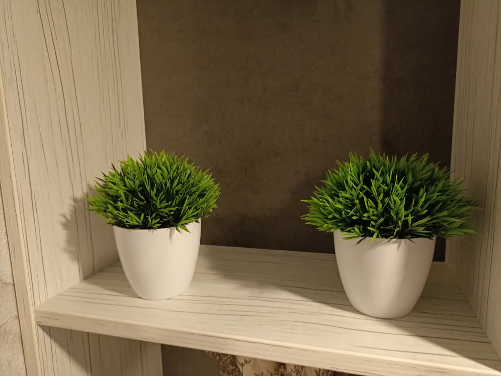 Дизайнерская студия сети все в гости у ФОК Арена