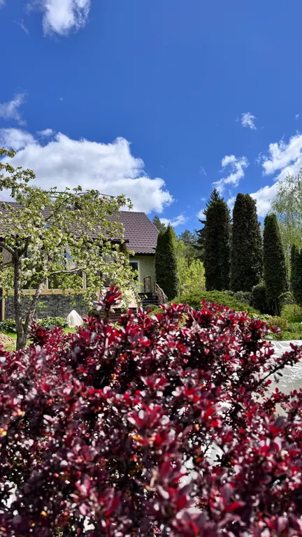 Усадьба Сова