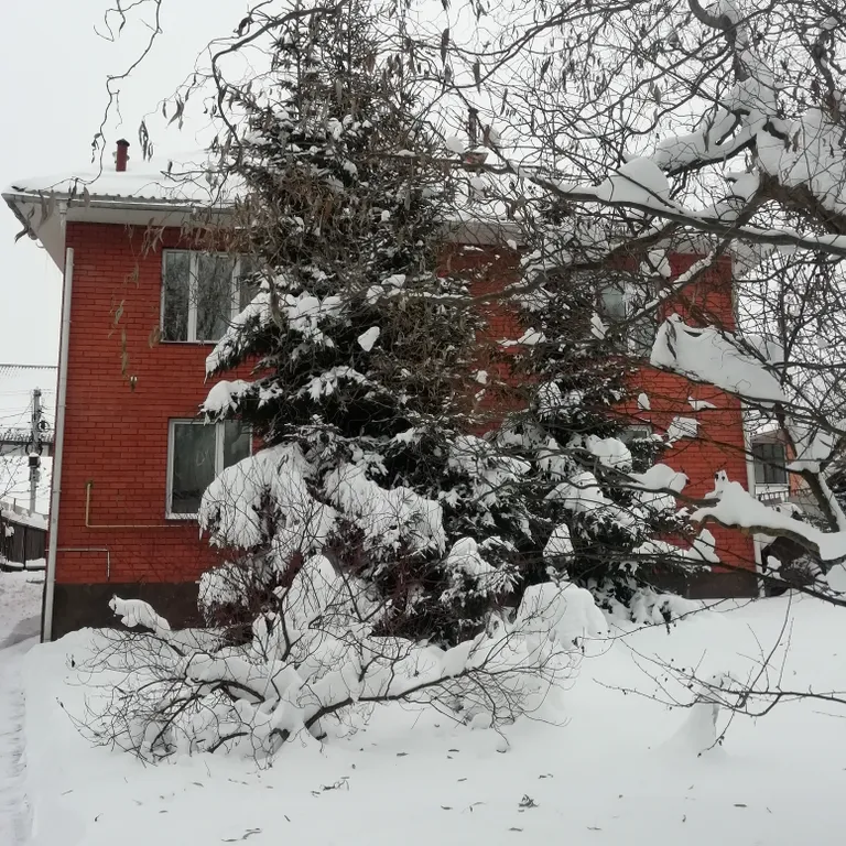 Коттедж под дубом