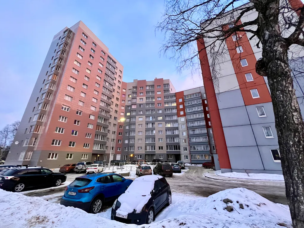 Светлая квартира рядом с Онежским озером