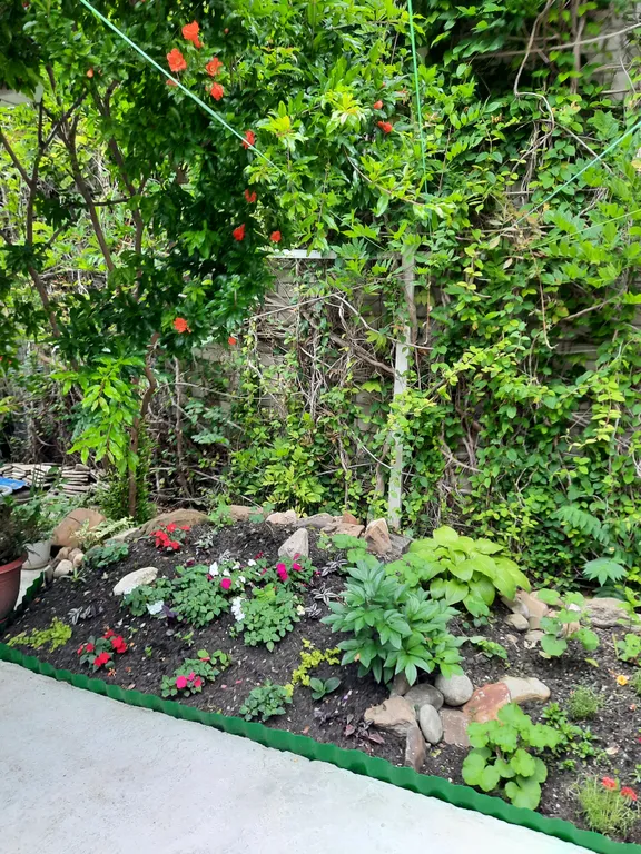 Квартира Квартира Гостевой дом Елизавета — Геленджик