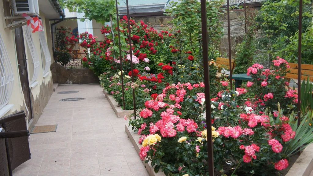 Уютные апартаменты в центре города