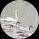 Ольга