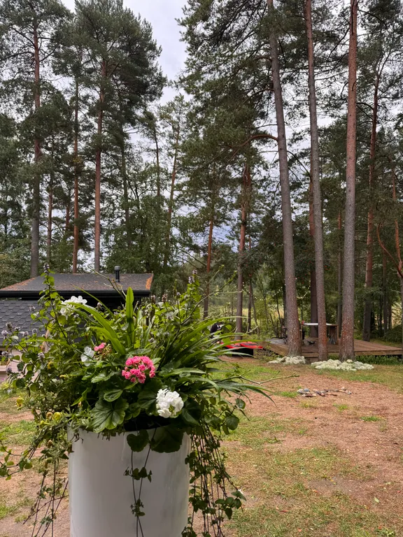 Стильный дом на берегу Ладожского озера с панорамным видом