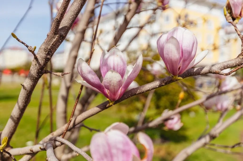 Бархатные сезоны 1