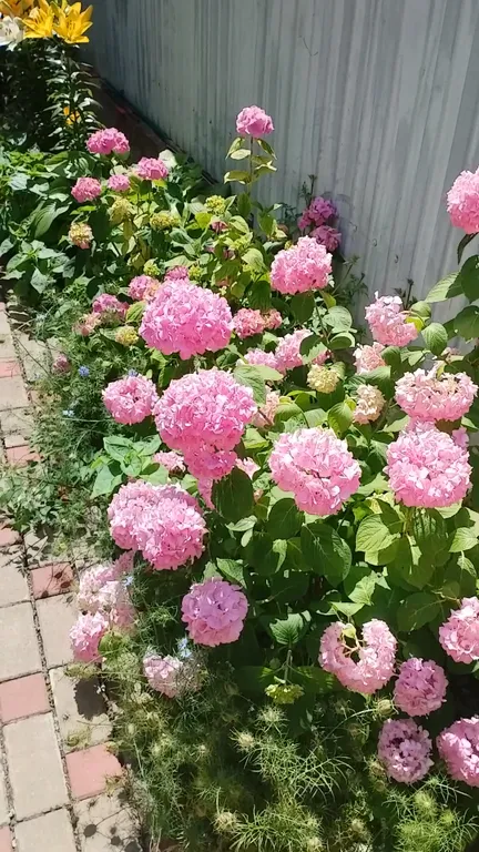 Этаж со своим входом для большой компании(до 10 человек)