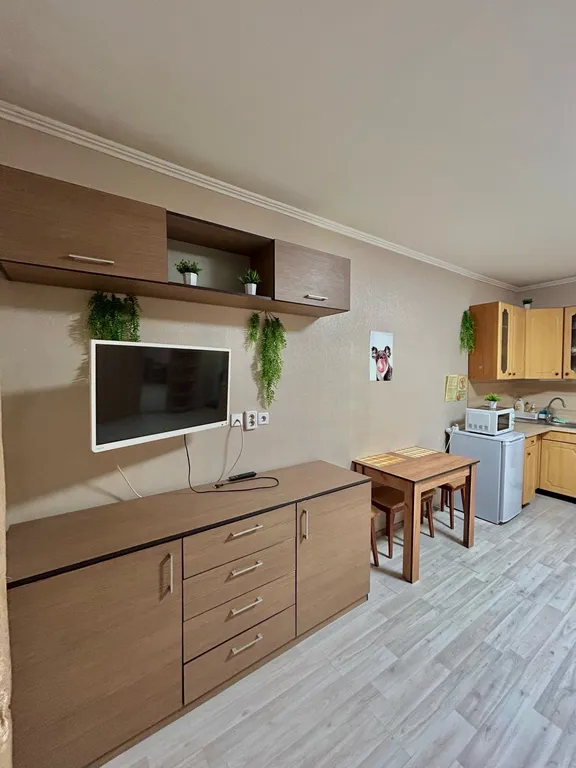 Уютная студия в Кучино