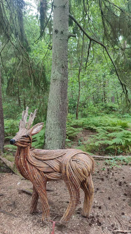 Атмосферные апартаменты у Балтийского моря