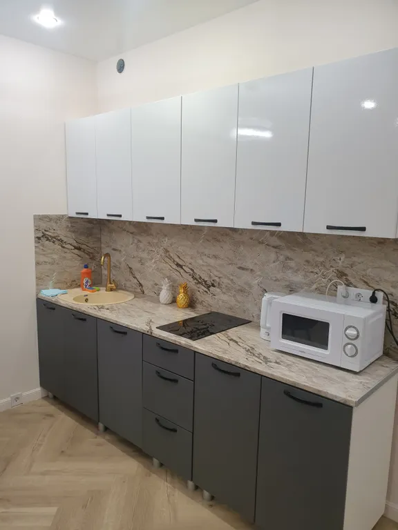 Студия в центре